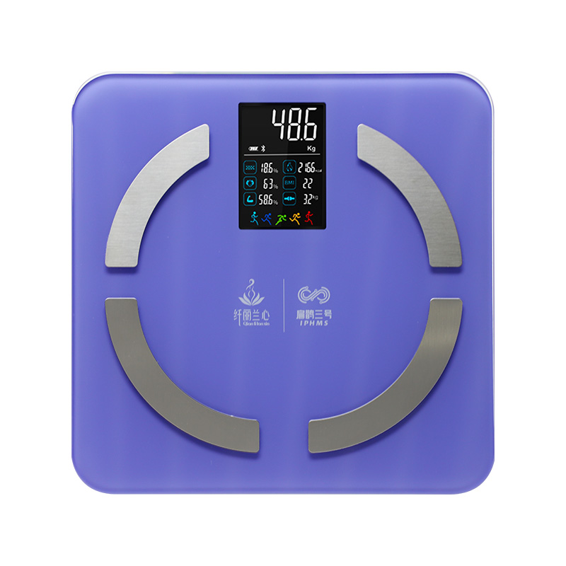[钻表礼品] 扁鹊三号-智能体脂秤